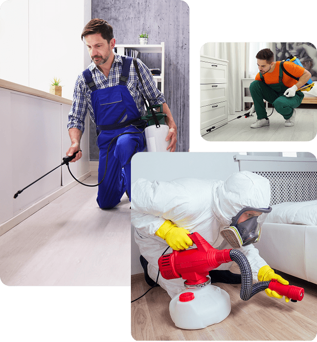 Technician spraying floors with handheld sprayer