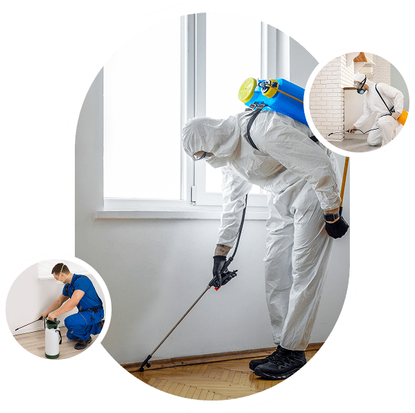 Worker in white suit treating baseboards