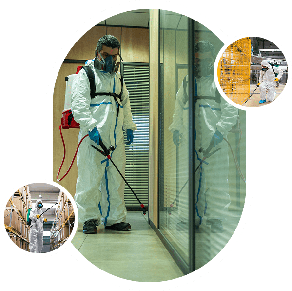 Person in protective gear spraying indoors.