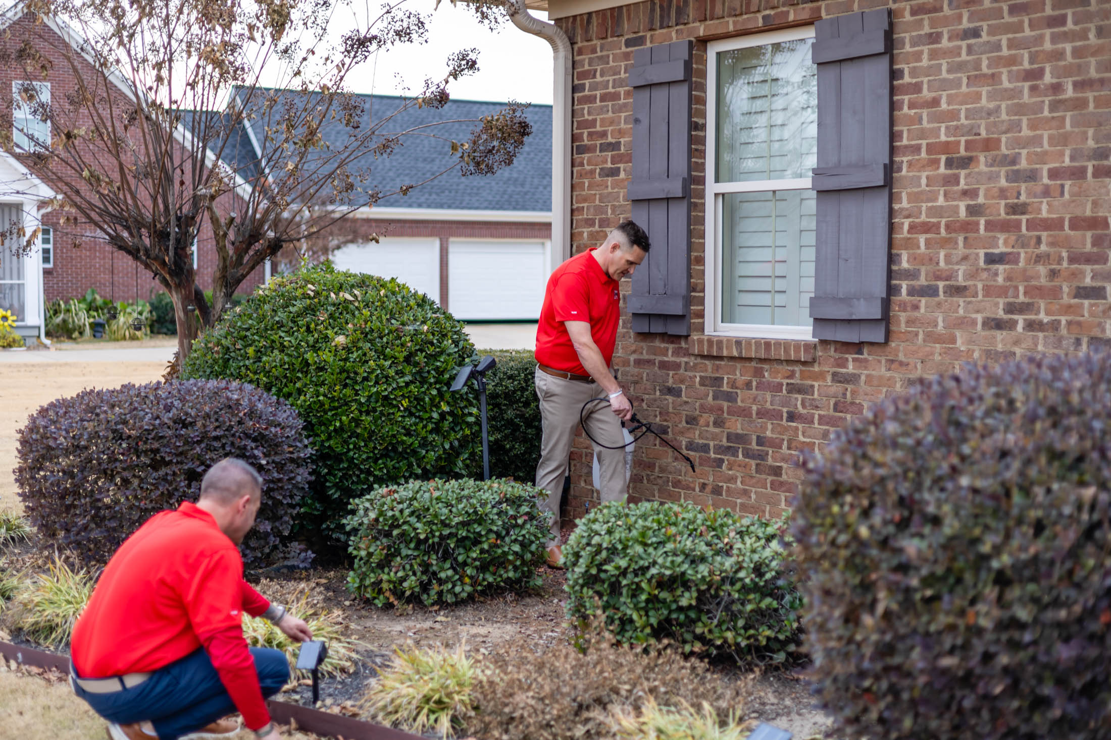 Workers trimming bushes beside brick house.